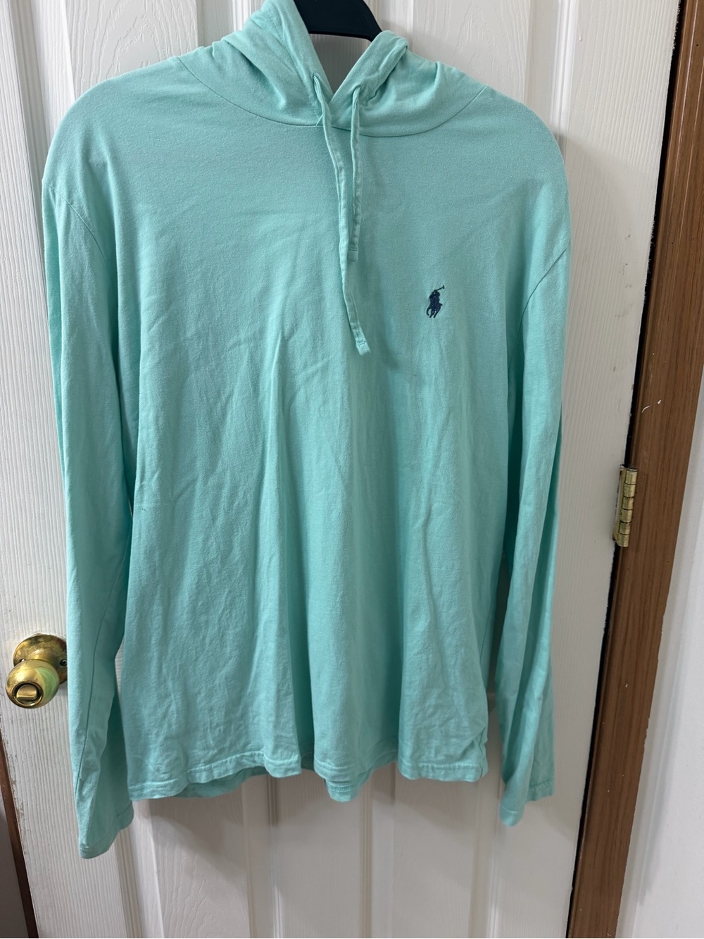 Polo by Ralph Lauren Seafoam Green Hooded Long-Sleeve Shirt